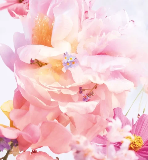 Parfum Floral