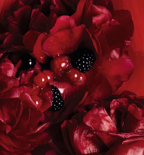 Parfum Fruité